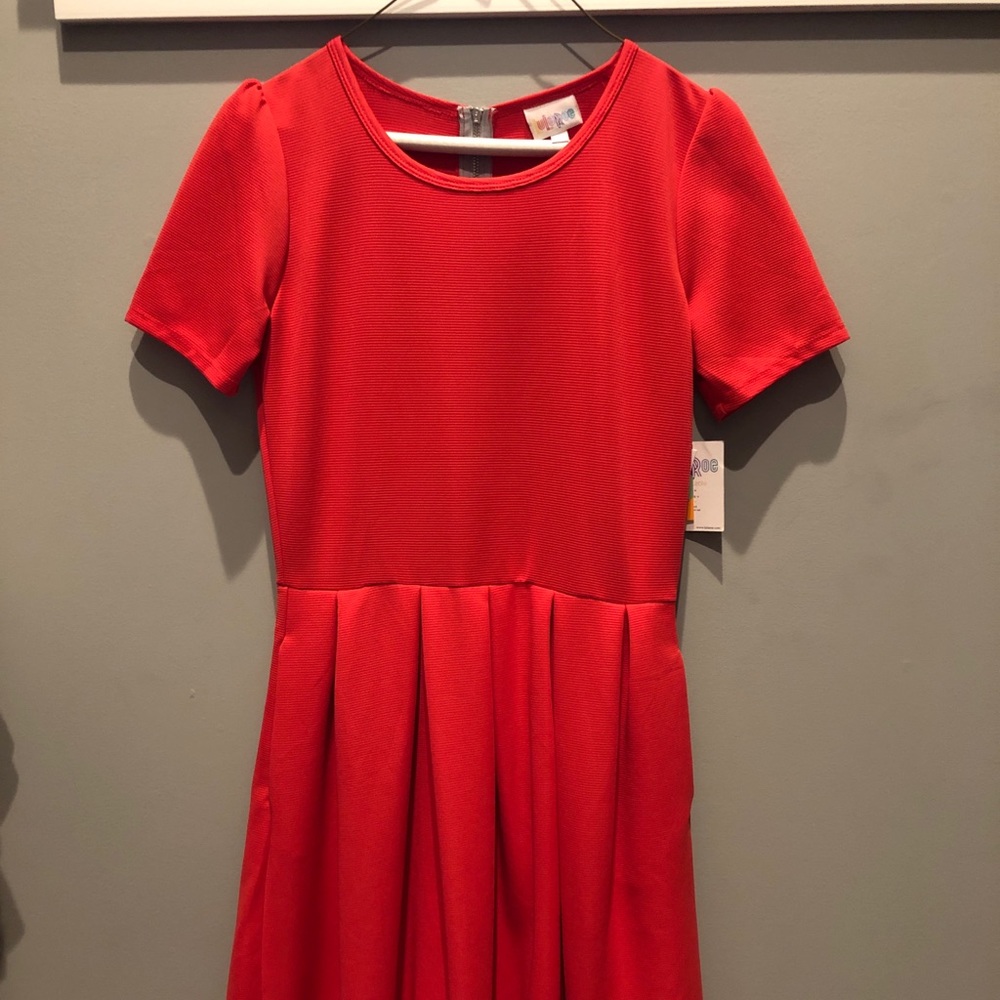 NWT Amelia dress LulaRoe Medium